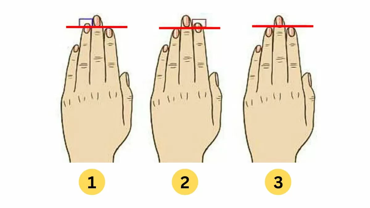 4d 2d relative finger lengths image